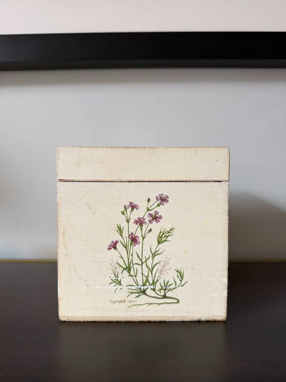 Vintage (circa 2000) Vietri Tissue Box